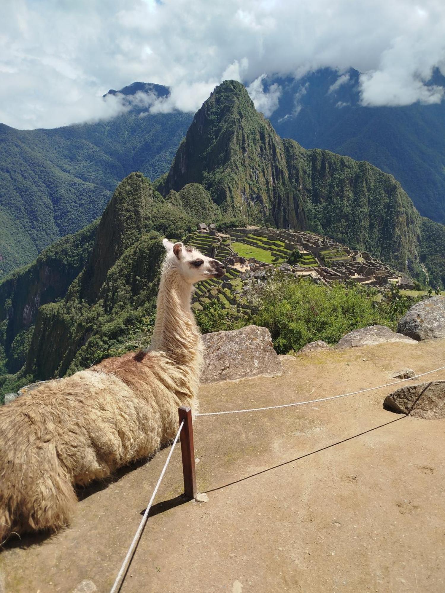 Picos House Hotel Machupicchu Luaran gambar