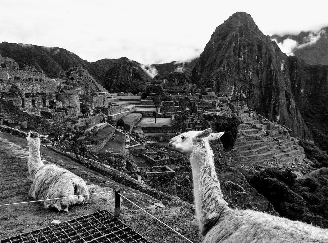 Picos House Hotel Machupicchu Luaran gambar